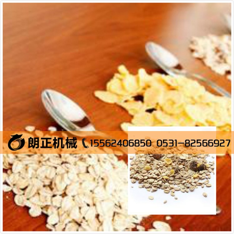 @牛奶冲泡玉米片生产设备 早餐膨化水果燕麦片加工流水线机械厂家