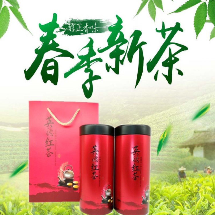 正山滇红小种古树红茶叶香鲜爽甘润原生态有机醇滑红茶罐装新茶