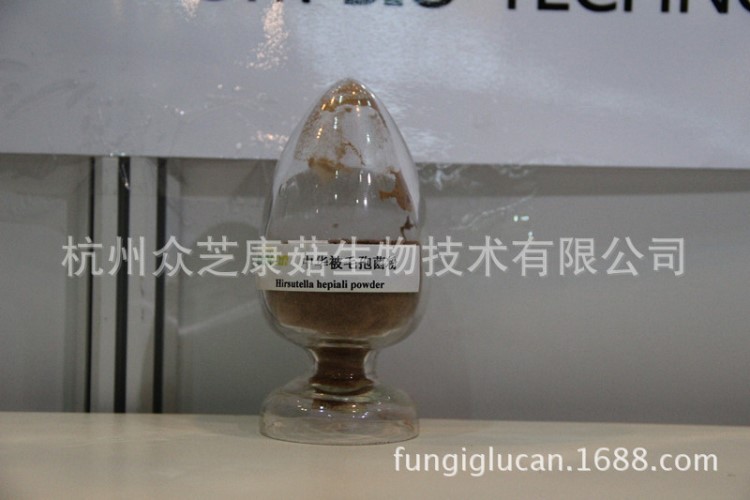 众芝康蝙蝠蛾被毛孢虫草菌粉 腺苷0.5%以上HACCP