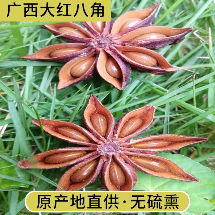 八角广西大红八角春花干支大茴香五香料调料烹饪作料大料包卤肉料