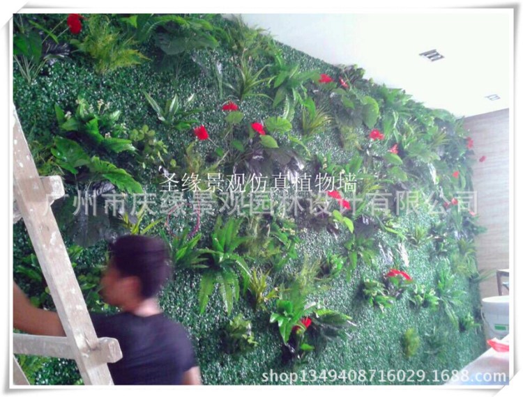 植物墙 款式绿植墙 装饰室内外园艺挂壁绿植 绿化墙 定做
