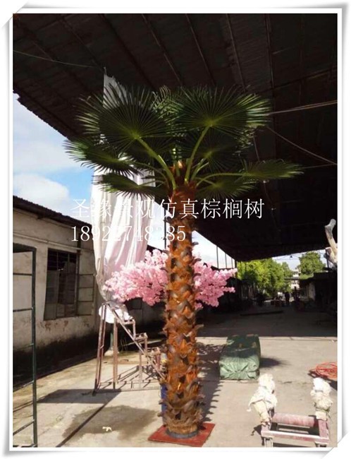 定做仿真扇葵树保鲜树 游乐场热带风景树人造棕榈树