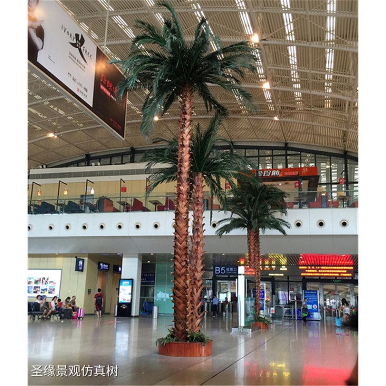 仿真棕榈树 酒店商场装饰仿真棕榈树 老人葵 人字皮棕榈树