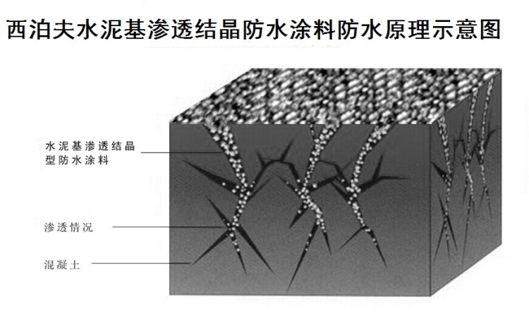 供应西泊夫水泥基渗透结晶防水涂料 渗透结晶型粉料