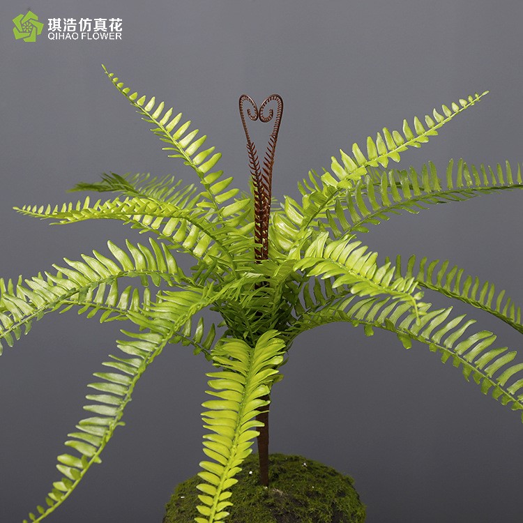 新品热卖中波斯草植物墙配材排草仿真蕨草精品山蕨热带植物