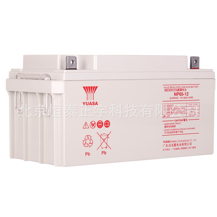 广东YUASA汤浅蓄电池NP65-12铅酸12V6H新报价品质