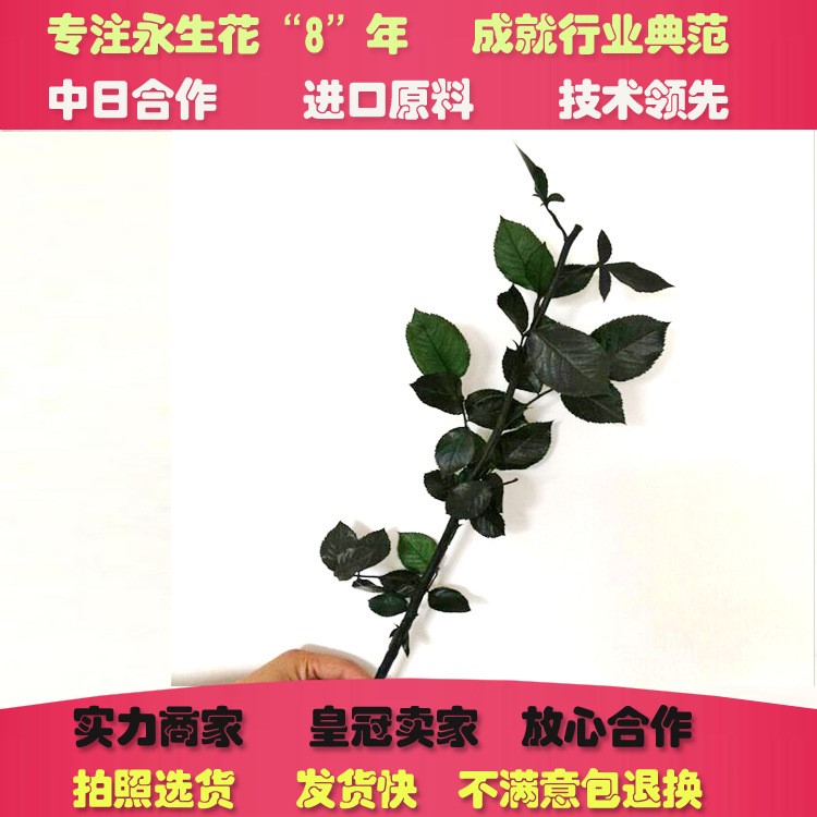 整枝玫瑰永生花材配材礼盒 保鲜花DIY枝条圣诞生日礼物