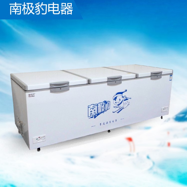 冰箱冰柜冷冻冷藏大容积铜管功率600w 商用仓库大储量卧式冷柜