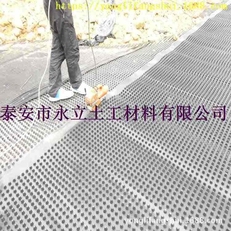 广西地下车库排水板/2公分排水板蓄水板土工布