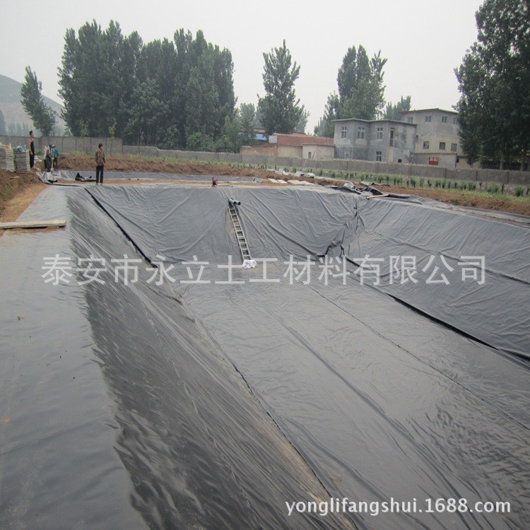 景观池防渗膜徐州HDPE土工膜低价供应