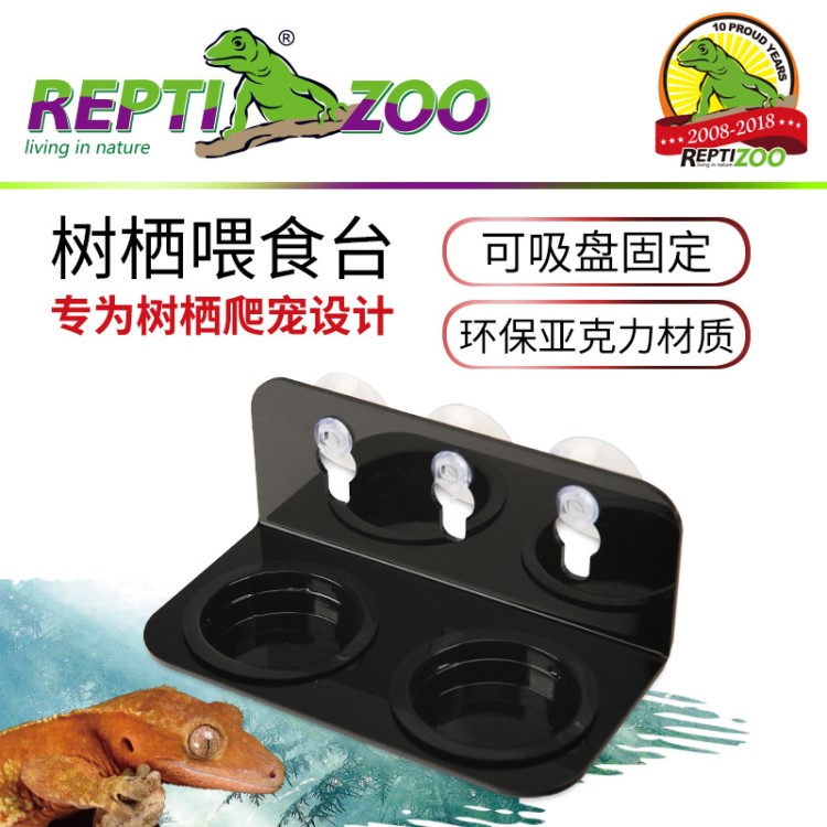 REPTIZOO树栖喂食台睫角守宫巨人守宫魔物守宫R属守宫树栖爬宠