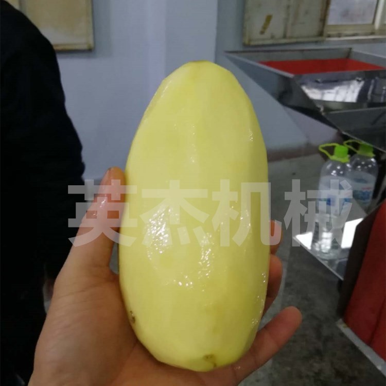 自动土豆地瓜削皮设备 罐头食品加工厂配套芒果奇异果去皮机厂家