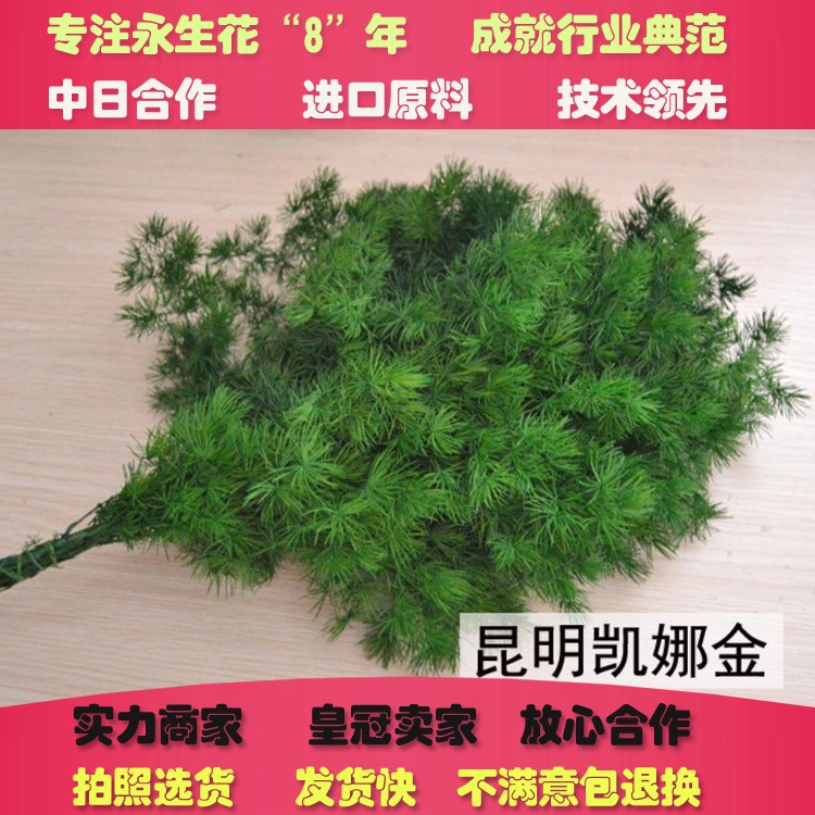 保鲜蓬莱松永生花批发 DIY花艺家居资材配花配草配材七夕礼盒