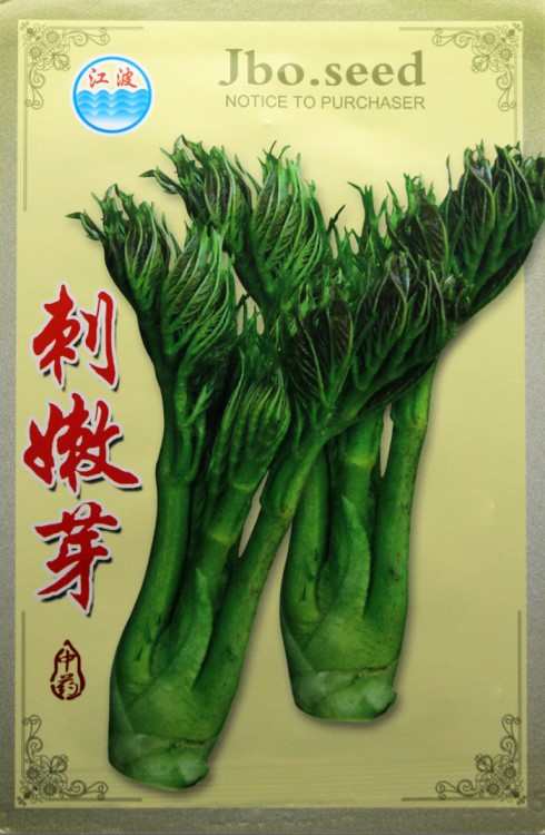 刺嫩芽种子 刺老芽刺龙芽山野菜蔬菜 南北方庭院盆栽园艺越冬耐旱