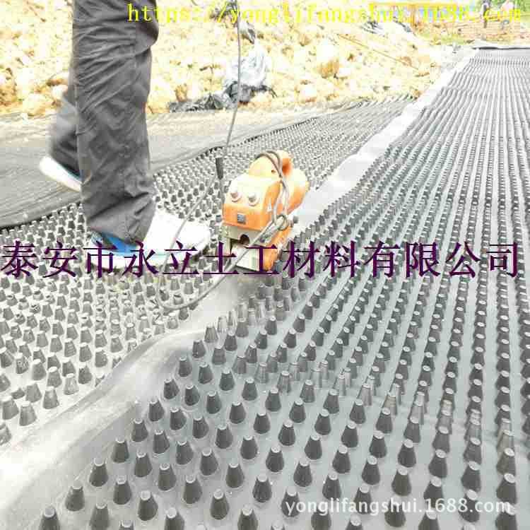 车库疏水板烟台小区排水板2公分排水板植草格