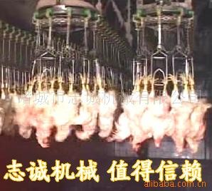 石家庄屠宰设备，鸭屠宰设备，鹅屠宰设备，鸡屠宰设备厂家