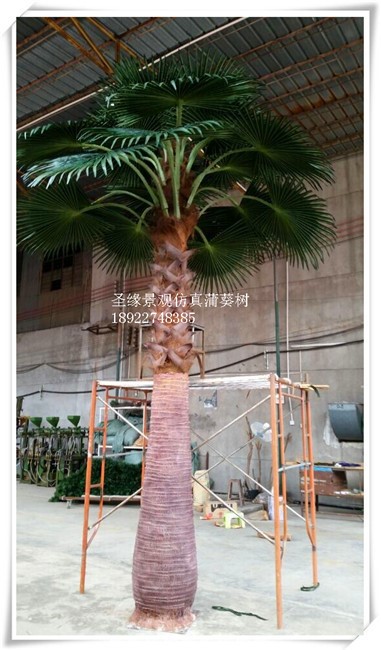 景区绿化树仿真蒲葵树  新品 人造绿植仿真蒲葵树