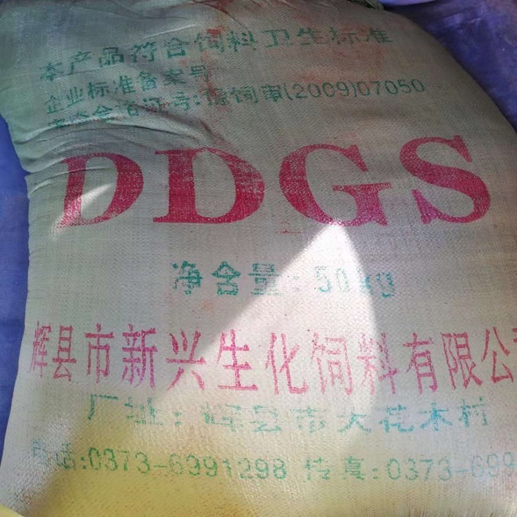 现货供应 饲料级DDGS，干玉米酒糟 酒精糟质量