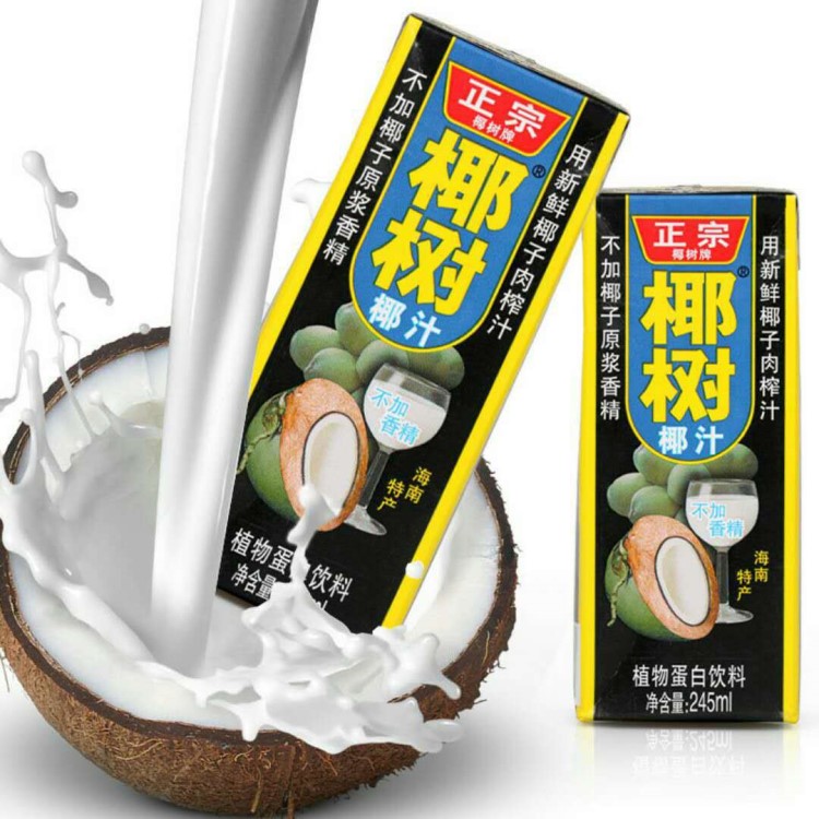 海南椰树软椰子汁245ml*24盒 新鲜椰肉鲜榨的椰子汁