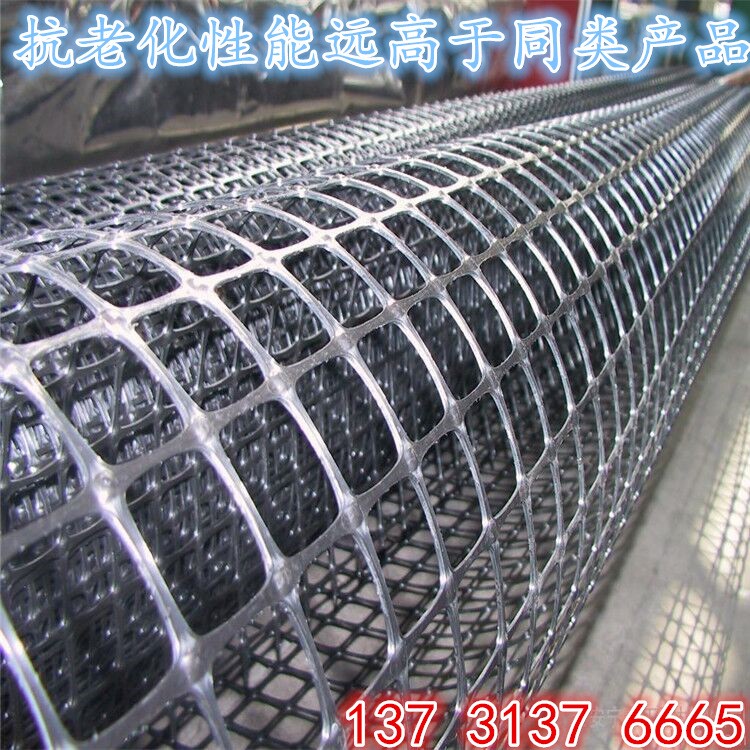 厂家生产 黑色高强度 广告牌阻燃塑料网 挂字网 规格 可定制