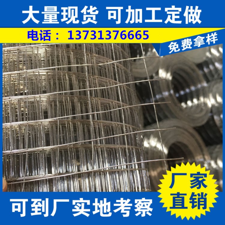 现货供应 屋顶保温棉专用方孔铁丝网 方孔焊接网片 规格