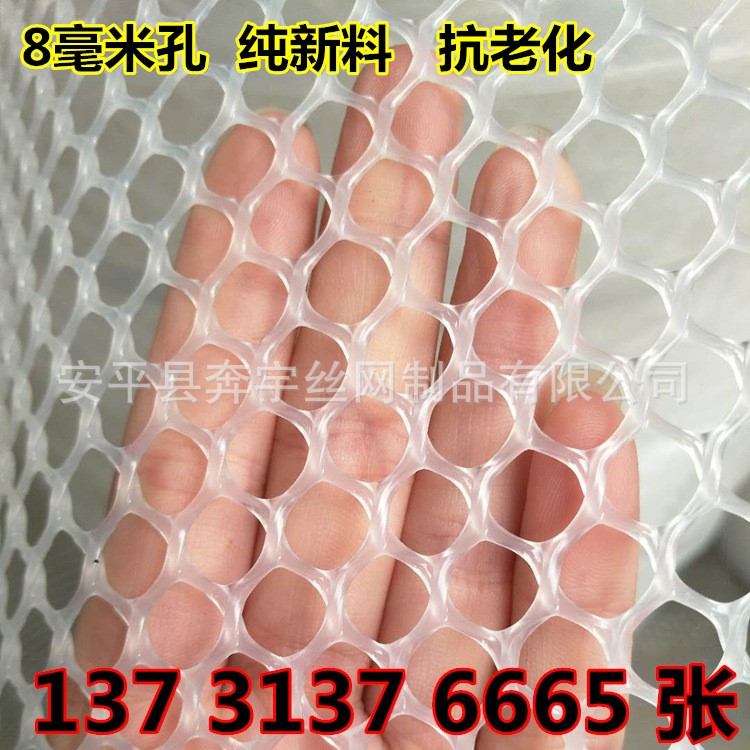 塑胶支撑网 食品塑料输送网带 食品专用塑胶网 无毒无味 全新料