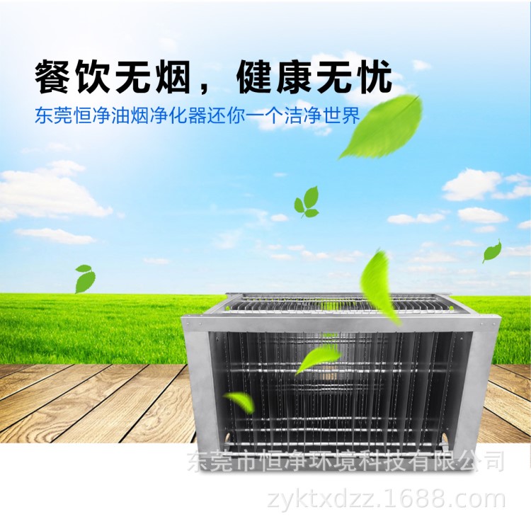 福建泉州静电式油烟净化器厂家|烧烤专用油烟净化器价格|无烟烧烤