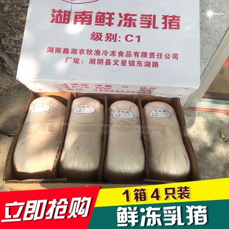 乳猪 烤乳猪 冻乳猪 国产冻乳猪 脆皮烤乳猪 小耳朵乳猪 1箱4只装