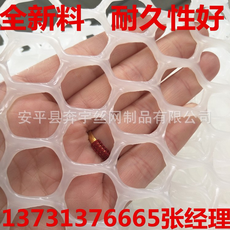 大孔养鸭塑料平网 白色塑料平网 塑胶网片 厂家销售 规格