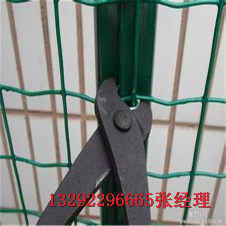养鸡围栏网 养鸡铁丝围网 养殖围栏网 山鸡养殖网 规格