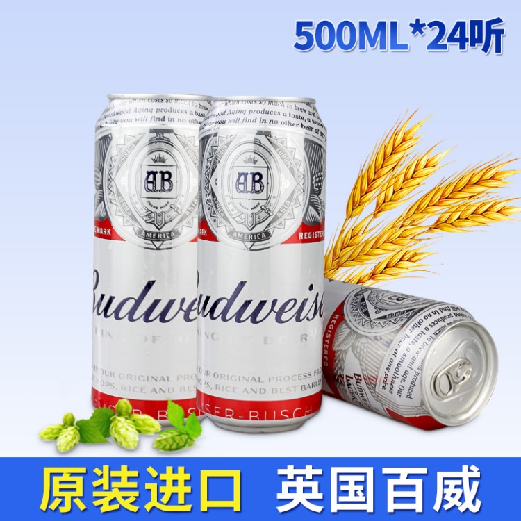 原装英国百威夜场啤酒 KTV供应 500ML*24听易拉罐装整箱批发