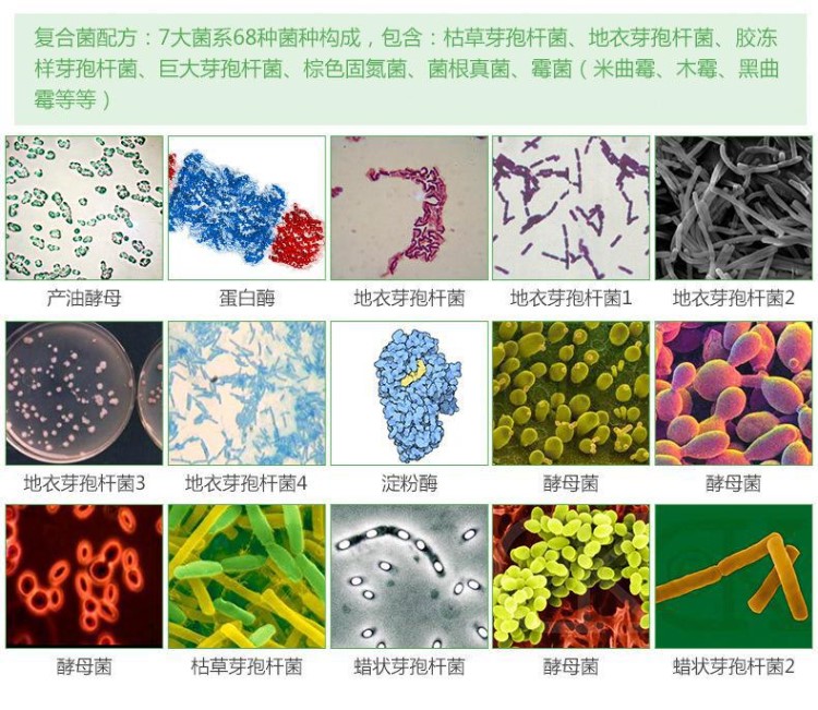 菌益多/豆粕肥/羊粪生物有机肥/有机质60%/基肥/追肥