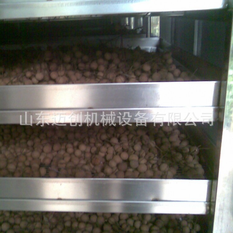 多功能大枣烘干设备 红枣烘干机 果脯加工机械 龙眼肉/桂圆烘干机