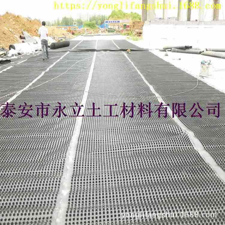 扬州地下车库排水板镇江排水板厂家【滤水板】