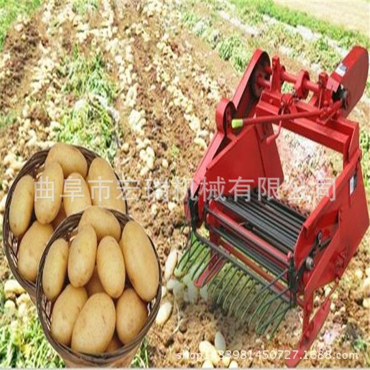 土豆打秧机图片 土豆挖收机价格 地蛋挖掘机新品推荐