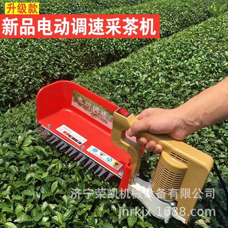 电动采茶机多功能价格 多功能微型电动采茶机 电自动收割采茶机