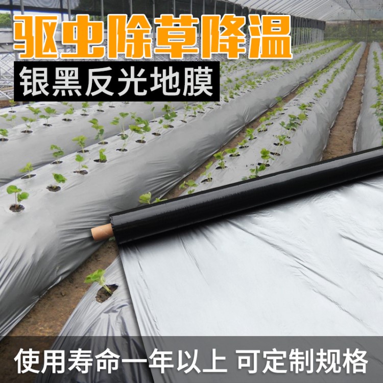 新料PE银黑地膜 农用薄膜抗老化反光膜驱虫降温塑料膜 除草地膜