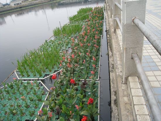 厂家直销浮床水生态治理人工浮岛聚乙烯塑料浮块种植浮板