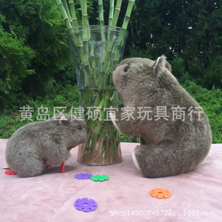 可爱仓鼠毛绒玩具 老鼠豚鼠荷兰猪公仔仓鼠玩偶 送女生日礼物