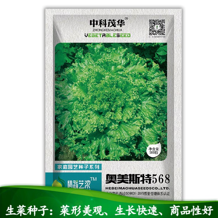 中科茂华蔬菜种子公司批发大速生菜奶油生菜种子500粒/袋厂家直销