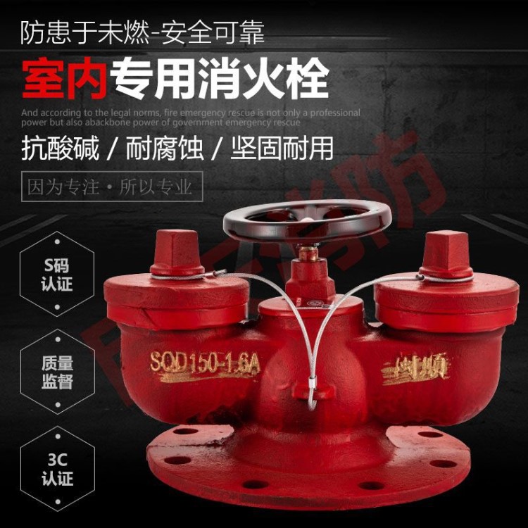 闽顺消防水泵接合器SQD150-1.6 DN150，多用式水泵接合器