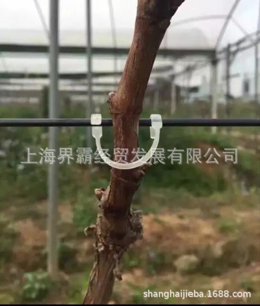 靓霸牌葡萄绑枝卡绑枝器扎丝卡扣新式塑料猕猴桃绑蔓卡子绑蔓枪