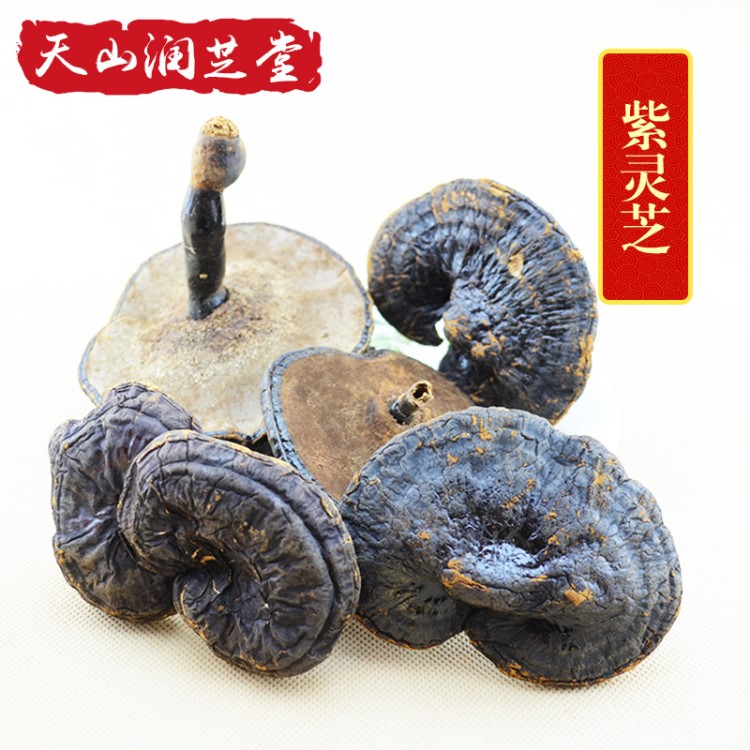 广西灵芝礼品 大块紫灵芝草整枝 传统滋补品500g灵芝批发