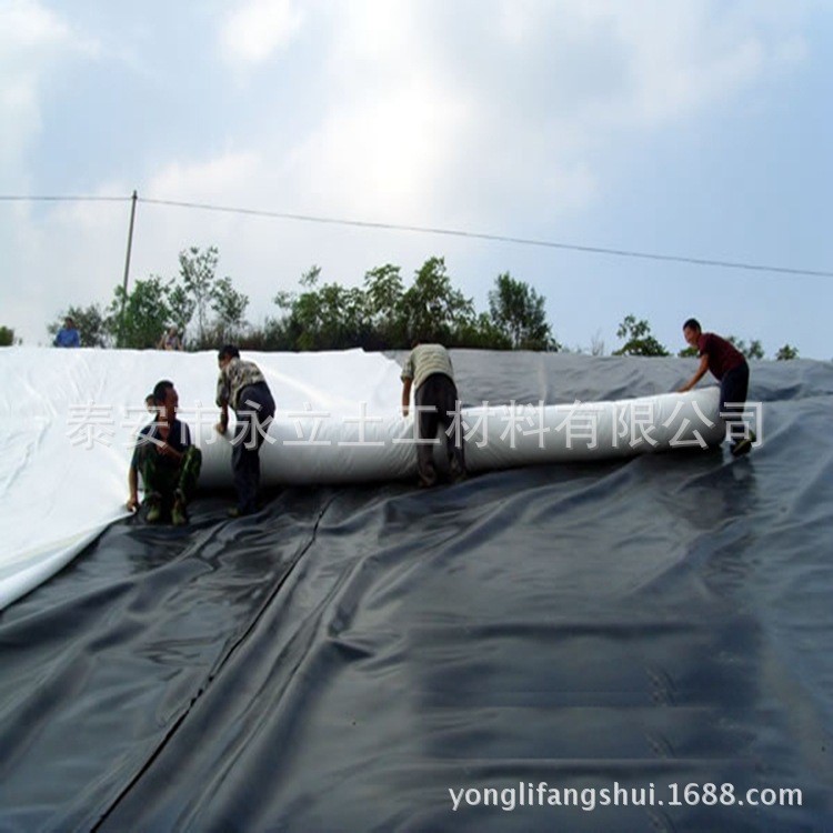 广西垃圾填埋场防渗2毫米土工膜厂家直销