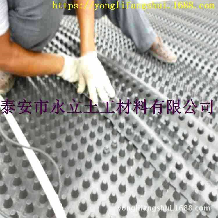 滨州排水板&amp;蓄排水板山东排水板厂家直销