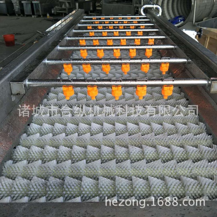 鲜花生清洗机 平行毛棍清洗机 喷淋式毛刷去杂清洗机