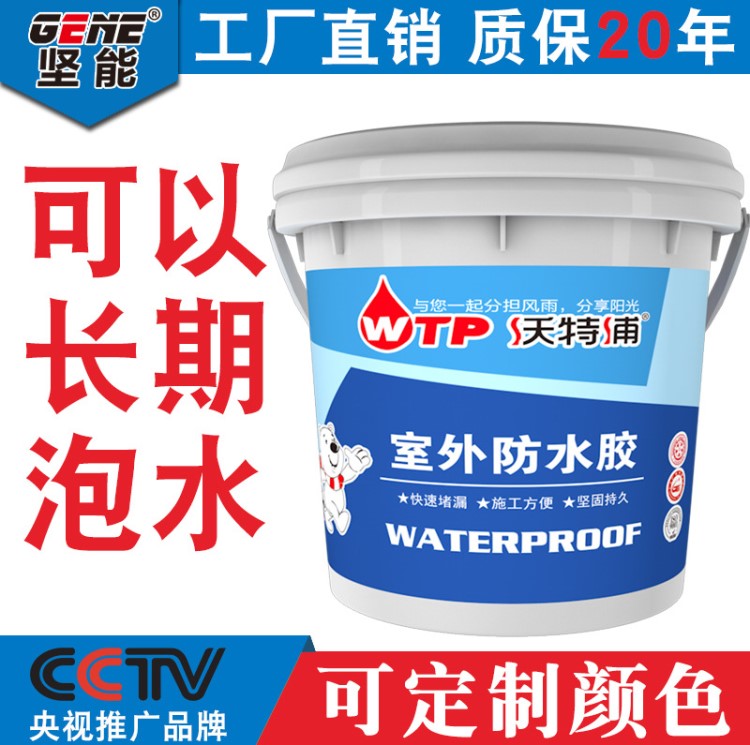 水池鱼池天沟防水涂料防漏防水材料室外用外墙预防水透明防水胶