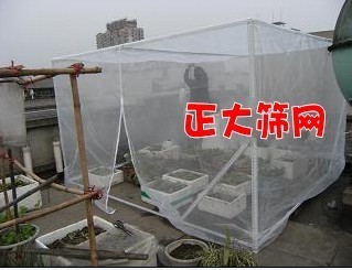 定做尼龙蔬菜大棚 果树防虫网 防鸟网原料网罩