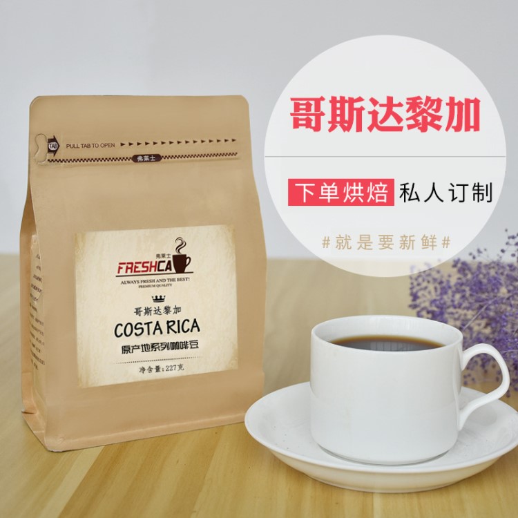 可代销精选哥斯达黎加咖啡豆生豆新鲜烘焙批发227g现磨粉