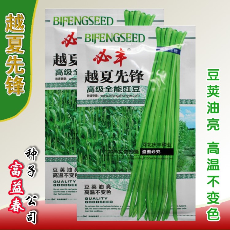 必丰越夏先锋  长豆角种子浅绿色耐高温 豆荚油亮高温不变色 春夏